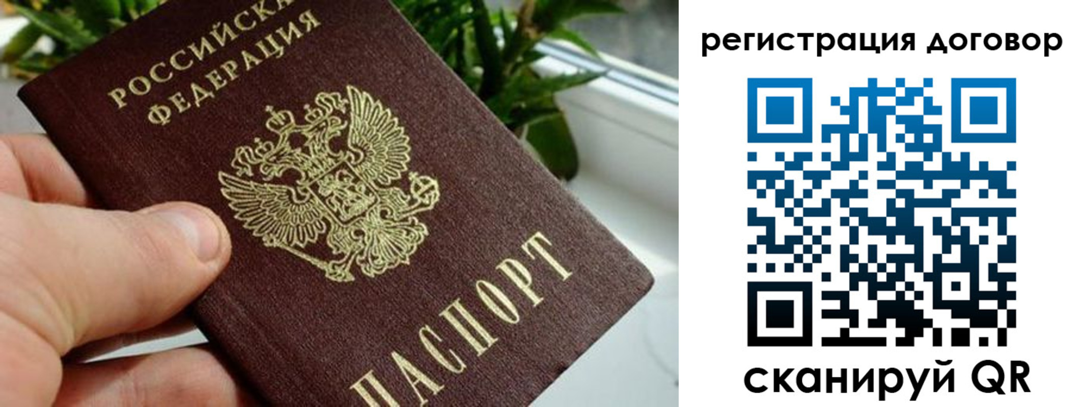 прописка ребенка в Ермолино